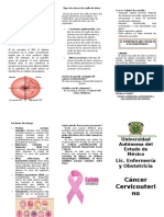 Triptico Cancer Cervicouterino