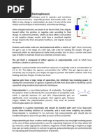 Download Principles of Gel Electrophoresis by Carmen Lopez SN39505065 doc pdf