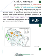 Sistema agrícola do Rio Negro