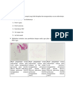 Hasil Pengamatan Miko Indf Candida