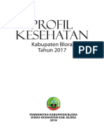 Profil Kesehatan Kab Blora 2017 Full PDF