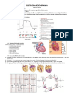 BÁSICO - Eletrocardiograma