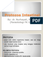 Protozoa Intestinal