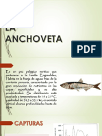 La Anchoveta