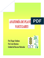 02pres Anatomia Vegetal PDF
