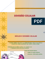 Divisão Celular: Mitose e Meiose