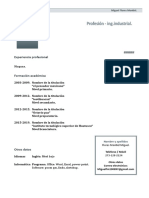 Curriculum Vitae Modelo1 Oscuro