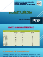 Clase 3 Biometalurgia