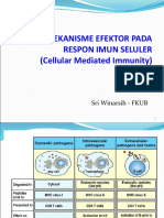 7. Cellular Adaptive Immunity PSF