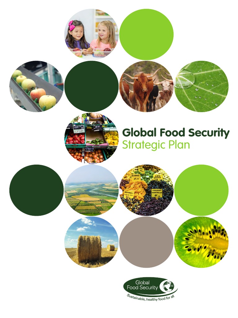 Global Food Security Strategic Plan Food Security Sustainability