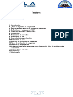 Monografia de Evaluacion y Gestion de Proyectos