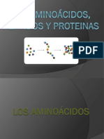 Expo-Organica3 - Los Aminoácidos, Peptidos y Proteinas