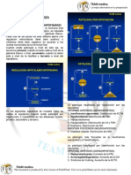 MANUAL DE ENDOCRINOLOGIA.pdf