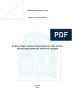 Projeto de Reator, Síntese de (Nano) Catalisador Óxido de Ferro e Decomposição Catalítica de Peróxido de Hidrogênio