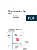 Kuliah Biosintesis AA - Mhs