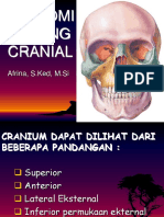 Os. Cranial