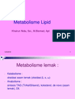 Metabolsme Lipid 2016