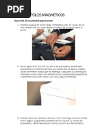Fisica II Polos Magneticos