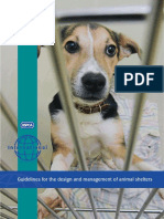 Shelter Guidelines PDF