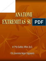 ANATOMI+FUNGSIONAL.pdf