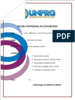 Pericia Pucalá Al 200 1 Trabajo