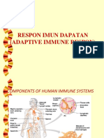 Respon Imun Adaptive-1
