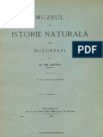 Antipa GR Muzeul de Istorie Naturala Din Bucuresti 1918