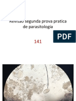 Revisão parasitologia 40