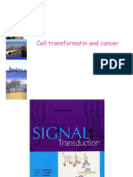 Cell Transformatin and Cancer