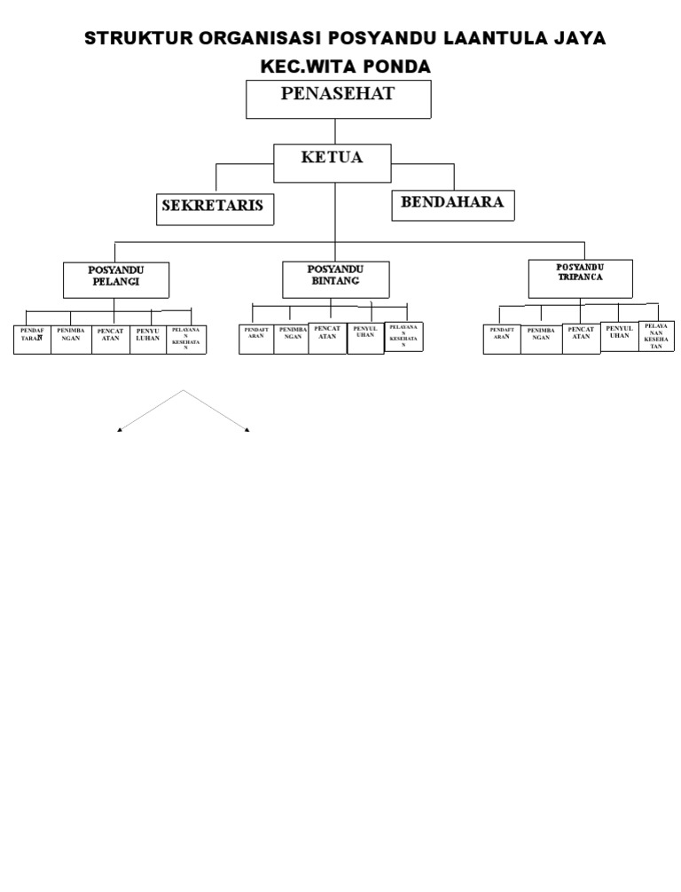 Struktur Organisasi Posyandu Docx
