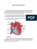 44743883-Anatomia-Aparatului-Cardiovascular.doc