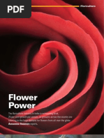 Floriculture_271108 IBEF