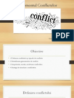 Managementul Conflictelor