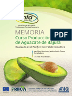 Memoria Curso de Aguacate de Bajura