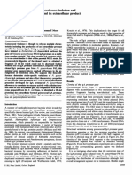 n gonore 3.pdf