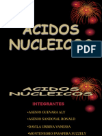 Acido Nucleico(Aly) Actual