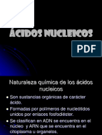 Ácidos Nucleicos Diapositivas W