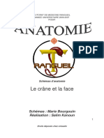 Anatomie Dent-Systeme Osseux Introduction Osteologie