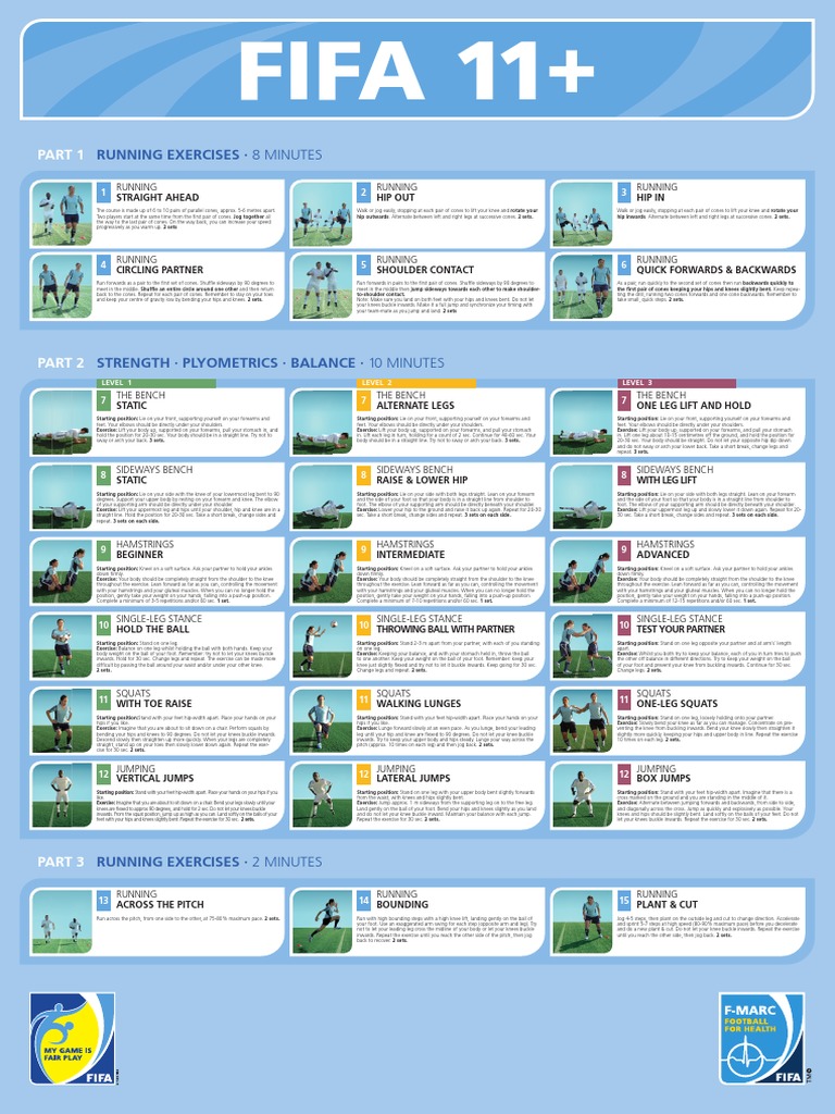 FIFA11summaryposter.pdf Horse Gait Knee