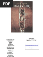 Elif SAFAK - Baba Ve Pic | PDF