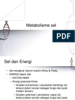 Metabolisme P6