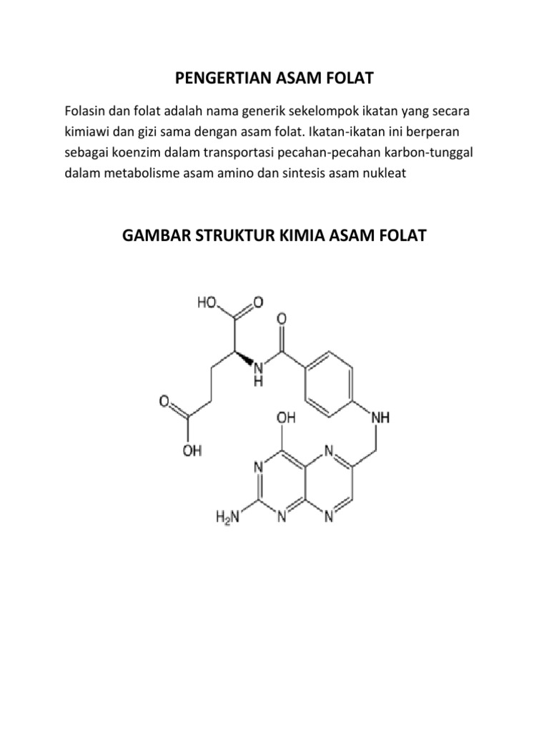 PENGERTIAN ASAM FOLAT
