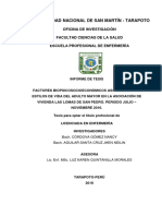 Proyecto de Tesis UNSM-2