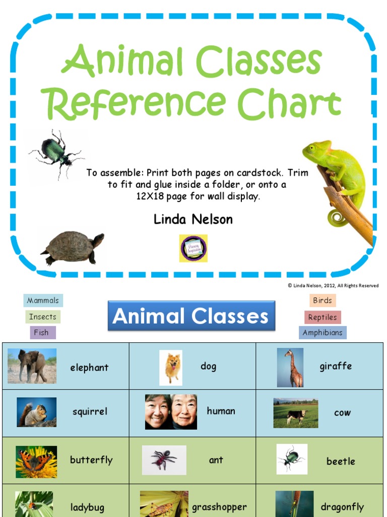 Animal Classes Reference Chart: Linda Nelson | PDF | Nature