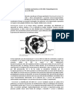 Fisiopatología de Las Enfermedades Oportunistas en VIH