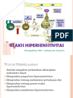 Reaksi Hipersensitivitas