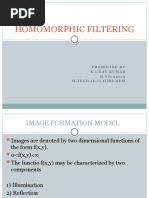 Homomorphic Filtering 94015