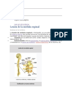 Lesión de La Médula Espinal