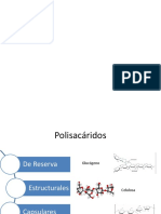 Exposición Exopolisacáridos