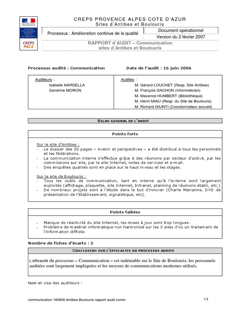 Exemple Rapport D'audit  PDF  Audit  Informatique